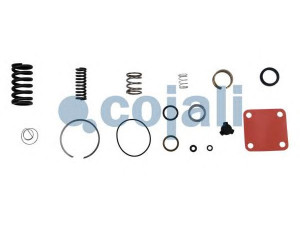 COJALI 6014422 remonto komplektas, suspausto oro valdymo blokas