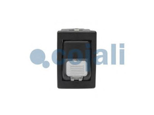 COJALI 2260166 amortizatorius
290951