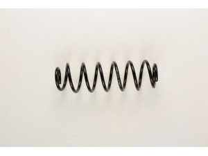 BILSTEIN 36-160716 spyruoklė 
 Pakaba -> Spyruoklės
6Q0 511 115 AG, 6Q0 511 115 AH