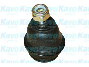 KAVO PARTS SBJ-6503 atramos/vairo trauklė 
 Ašies montavimas/vairavimo mechanizmas/ratai -> Sujungimai -> Atramos/vairo trauklė
4016001B25, 4016021B00