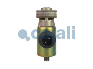 COJALI 2218207 solenoidinis vožtuvas
1315508, 504088165, 1788960
