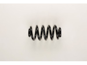 BILSTEIN 36-199877 spyruoklė 
 Pakaba -> Spyruoklės
4F0 511 115 BE