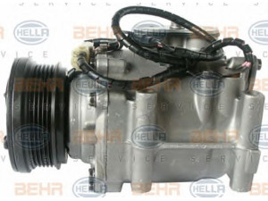 HELLA 8FK 351 135-681 kompresorius, oro kondicionierius 
 Oro kondicionavimas -> Kompresorius/dalys
1 044 198, 96FW19D629CD