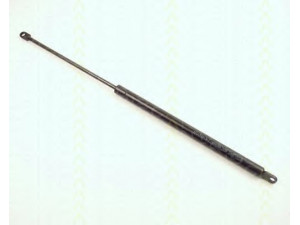 TRISCAN 8710 369 dujinė spyruoklė