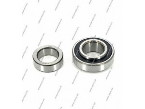 NPS T471A20A rato guolio komplektas
0442112020