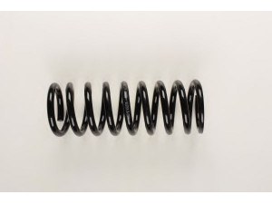 BILSTEIN 36-129744 spyruoklė 
 Pakaba -> Spyruoklės
116 324 09 04