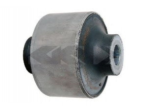 SPIDAN 411901 valdymo svirties/išilginių svirčių įvorė 
 Ašies montavimas/vairavimo mechanizmas/ratai -> Valdymo svirtis/pasukamosios svirties sujungimas -> Montavimas/sutvirtinimas
54500 00Q1E*, 54501 00Q1C*, Part of