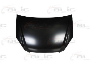 BLIC 6803-00-3286280P gaubtas 
 Kėbulas -> Transporto priemonės galas -> Gaubtas/dalys/garso izoliacinė medžiaga
664001D010