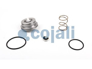 COJALI 6014195 remonto komplektas