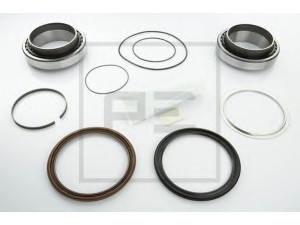 PE Automotive 066.171-00A rato guolio komplektas
3 434 3012 00