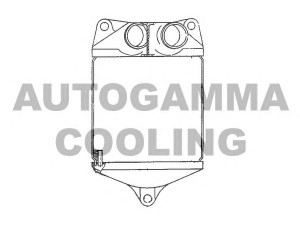 AUTOGAMMA 101483 tarpinis suslėgto oro aušintuvas, kompresorius
391511KZ301313
