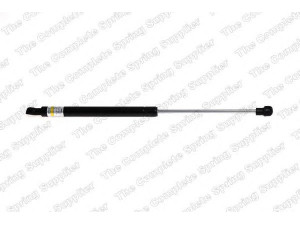 ROC GS0967 dujinė spyruoklė, gaubtas 
 Kėbulas -> Dujinės spyruoklės
51237060550, 51237129190