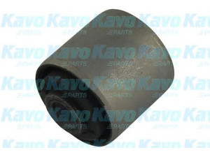 KAVO PARTS SCR-6547 valdymo svirties/išilginių svirčių įvorė 
 Ašies montavimas/vairavimo mechanizmas/ratai -> Valdymo svirtis/pasukamosios svirties sujungimas -> Montavimas/sutvirtinimas
550451W201
