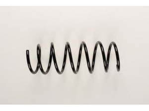 BILSTEIN 36-153855 spyruoklė 
 Pakaba -> Spyruoklės
1 133 338