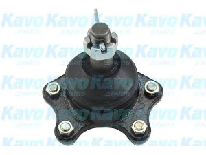 KAVO PARTS SBJ-9016 atramos/vairo trauklė 
 Ašies montavimas/vairavimo mechanizmas/ratai -> Sujungimai -> Atramos/vairo trauklė
4335039045, 4335039085, 4336039075