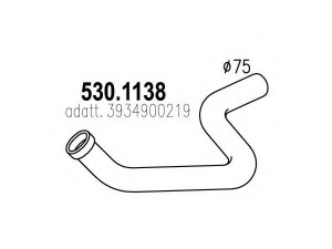 ASSO 530.1138 išleidimo kolektorius
3934900219