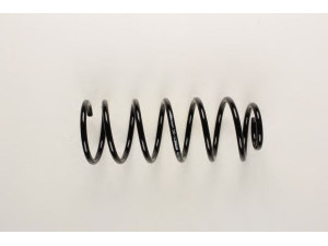 BILSTEIN 36-130832 spyruoklė 
 Pakaba -> Spyruoklės
357 411 105 AB
