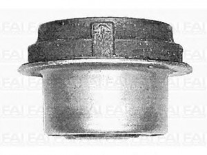 FAI AutoParts SS4249 valdymo svirties/išilginių svirčių įvorė 
 Ašies montavimas/vairavimo mechanizmas/ratai -> Valdymo svirtis/pasukamosios svirties sujungimas -> Montavimas/sutvirtinimas
2023338714