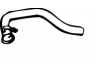 išleidimo kolektorius