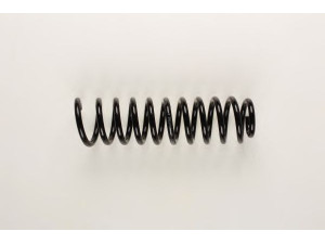BILSTEIN 36-155071 spyruoklė 
 Pakaba -> Spyruoklės
8A0 511 115 BP, 8A0 511 115 DC