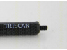 TRISCAN 8710 615159350 dujinė spyruoklė