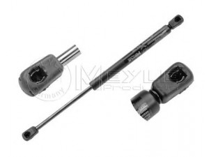 MEYLE 040 910 0000 dujinė spyruoklė, bagažinė 
 Priedai -> Bagažinė/pakrovimo skyrius
170 750 00 36