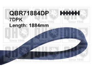 QUINTON HAZELL QBR71884DP V formos rumbuoti diržai 
 Techninės priežiūros dalys -> Techninės priežiūros intervalai
11287808106, 7808106