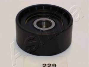 ASHIKA 45-02-229 įtempiklis, paskirstymo diržas 
 Diržinė pavara -> Paskirstymo diržas/komplektas -> Dirželio įtempiklis (įtempimo blokas)
13503-10010