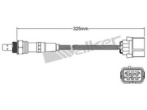 WALKER PRODUCTS 250-25001 lambda jutiklis 
 Variklis -> Variklio elektra
36531 RCA A02, 36531 RDM A01