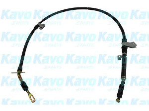 KAVO PARTS BHC-4656 trosas, stovėjimo stabdys 
 Stabdžių sistema -> Valdymo svirtys/trosai
GJ2144420C, GJ2144420D, GJ2144420F