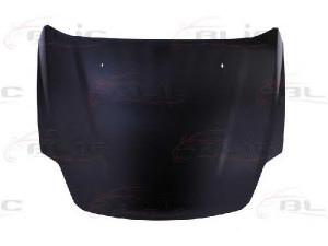 BLIC 6803-00-2556281P gaubtas 
 Kėbulas -> Transporto priemonės priekis -> Gaubtas/dalys/garso izoliacinė medžiaga
1693781, PBS71-A16610AB