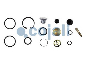 COJALI 6014615 remonto komplektas, sankabos stiprintuvas