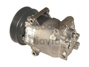 WEBASTO 82D0155831A kompresorius, oro kondicionierius 
 Oro kondicionavimas -> Kompresorius/dalys
8200470242, 8200600110, 8200940837