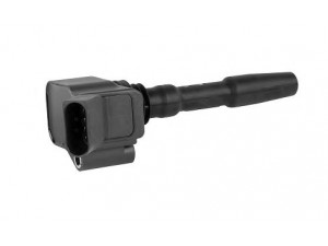 BOUGICORD 155468 ritė, uždegimas 
 Kibirkšties / kaitinamasis uždegimas -> Uždegimo ritė
06H 905 110 D, 06H 905 110 E, 06H905110D