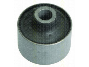 TRISCAN 8500 16826 valdymo svirties/išilginių svirčių įvorė 
 Ašies montavimas/vairavimo mechanizmas/ratai -> Valdymo svirtis/pasukamosios svirties sujungimas -> Montavimas/sutvirtinimas
1495717, 4042024, 4372132, 4540787