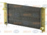 HELLA 8MK 376 900-081 radiatorius, variklio aušinimas 
 Aušinimo sistema -> Radiatorius/alyvos aušintuvas -> Radiatorius/dalys
46799894