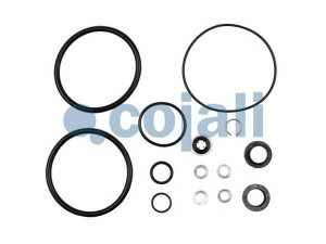 COJALI 6014145 remonto komplektas