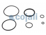 COJALI 6014407 remonto komplektas