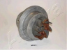 ASHIKA 35-0W-W11 vandens siurblys 
 Aušinimo sistema -> Vandens siurblys/tarpiklis -> Vandens siurblys
96230587