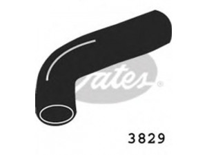 GATES 3829 radiatoriaus žarna
5953049