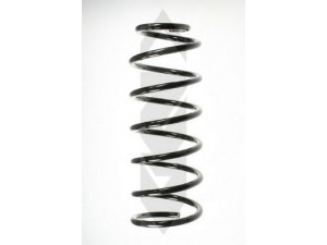 SPIDAN 48211 spyruoklė 
 Pakaba -> Spyruoklės
357 411 105