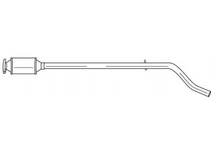 AKS DASIS SG12488 katalizatoriaus keitiklis