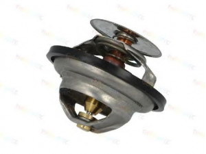 THERMOTEC D2IV005TT termostatas, aušinimo skystis 
 Aušinimo sistema -> Termostatas/tarpiklis -> Thermostat
9842 0718, 9846 7517