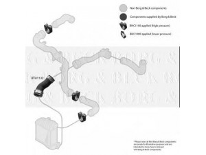 BORG & BECK BTH1132 kompresoriaus padavimo žarna 
 Išmetimo sistema -> Turbokompresorius
1J0145834AA, 1J0145834AA, 1J0145834AA