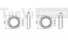 TREVI AUTOMOTIVE WB1515 rato guolio komplektas 
 Ašies montavimas/vairavimo mechanizmas/ratai -> Rato stebulė/montavimas -> Rato guolis
6313300051, 6313300251, A6313300251