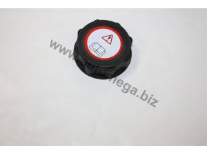 AUTOMEGA 30703700374 dangtelis, radiatorius
7370374