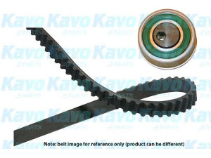 KAVO PARTS DKT-3013 paskirstymo diržo komplektas 
 Techninės priežiūros dalys -> Papildomas remontas