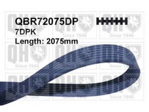 QUINTON HAZELL QBR72075DP V formos rumbuoti diržai 
 Techninės priežiūros dalys -> Techninės priežiūros intervalai