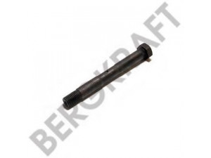 BERGKRAFT BK8400767 lingės varžtas
1598 765, 1598765