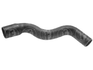 FARE SA 8298 radiatoriaus žarna 
 Aušinimo sistema -> Žarnelės/vamzdeliai/sujungimai -> Radiatoriaus žarnos
1343J3